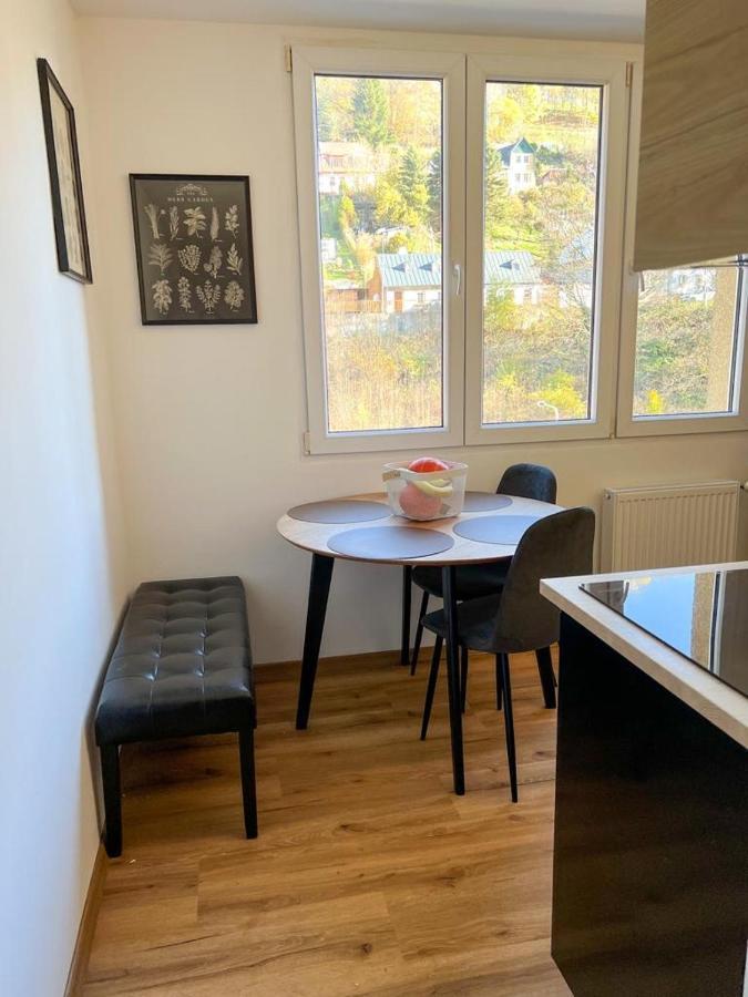 Apartman Visek Jáchymov Kültér fotó