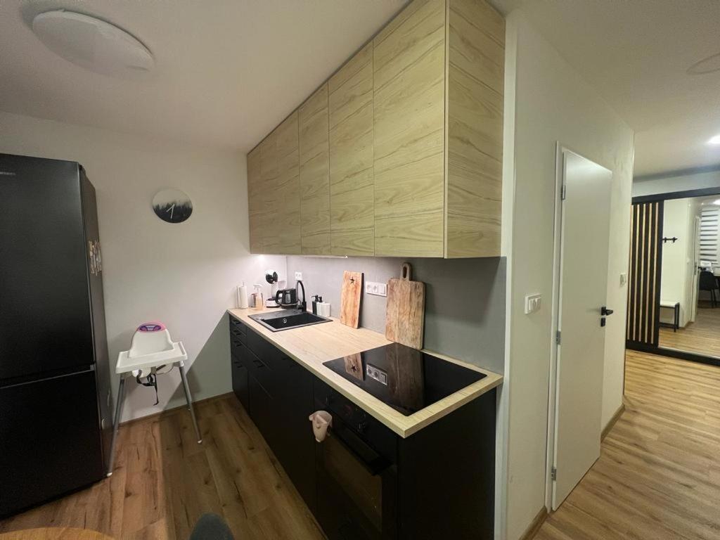 Apartman Visek Jáchymov Kültér fotó
